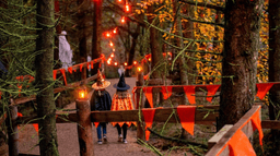 This is one of the best Halloween experiences for families in Ireland