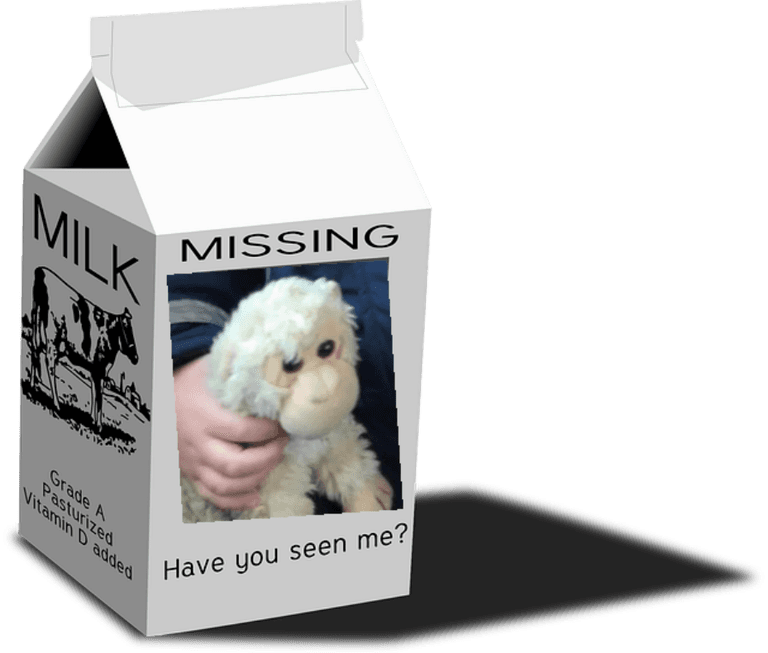 Help find Monkey: One dad’s online appeal for help really touched us Help find Monkey: One dad’s online appeal for help really touched us