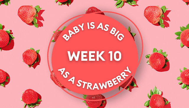 Your baby at 10 weeks: Week-by-week guide to pregnancy Your baby at 10 weeks: Week-by-week guide to pregnancy