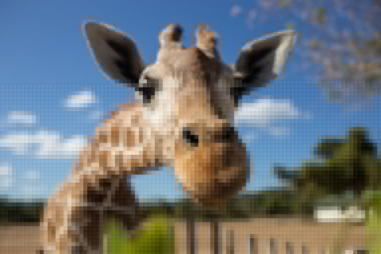 Giraffes have officially been added to the endangered species list Giraffes have officially been added to the endangered species list