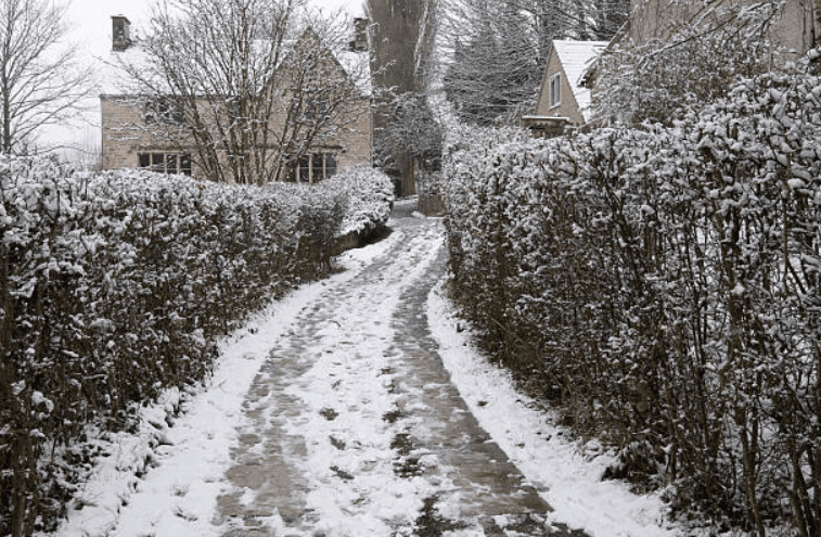 Animal welfare issue warning in Ireland after puppy dies from freezing weather Animal welfare issue warning in Ireland after puppy dies from freezing weather