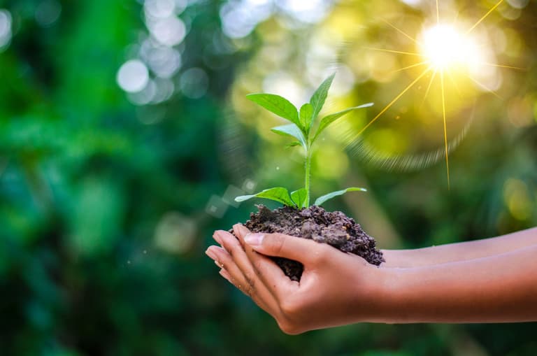 Electric cars and home retrofits: what you need to know about Ireland’s Climate Action Plan Electric cars and home retrofits: what you need to know about Ireland’s Climate Action Plan