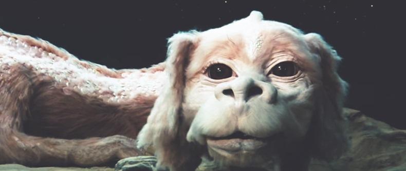 1,500 people joined a waiting list for a plush Falkor the Luck Dragon