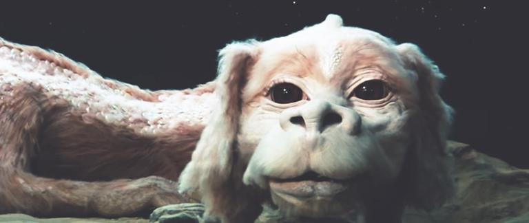 1,500 people joined a waiting list for a plush Falkor the Luck Dragon