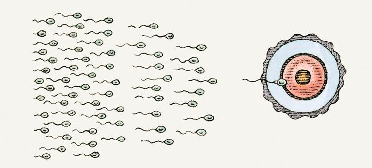 Sperm killers: 8 things that are hazardous to sperm health