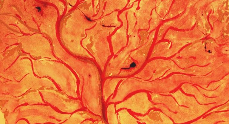 Life after birth: 9 curious customs involving the placenta