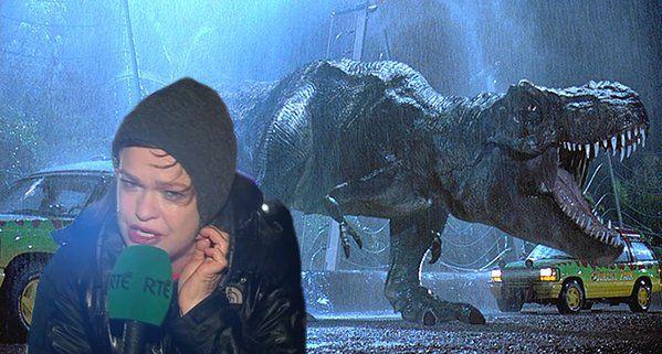 Storm Desmond: Teresa Mannion is the new Hero of the Nation