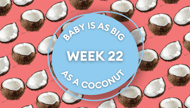 Your baby at 22 weeks pregnant: Week-by-week guide to development