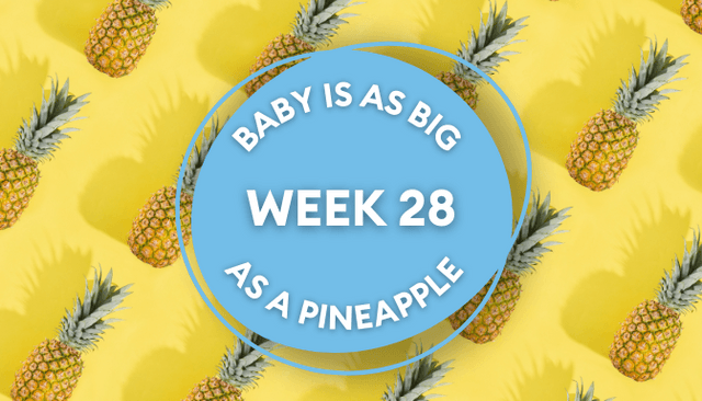 Your baby at 28 weeks pregnant: Week-by-week guide to development