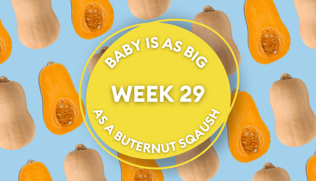 Your baby at 29 weeks pregnant: Week-by-week guide to development