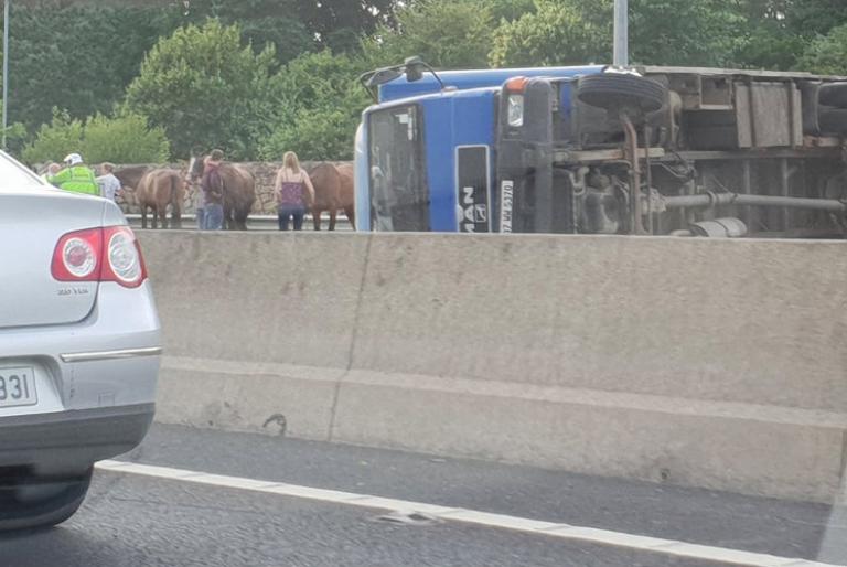 The M50 southbound is closed as a truck carrying several horses overturns