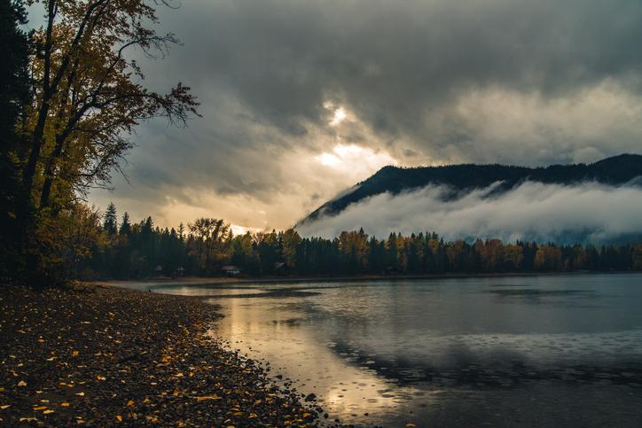 5-month-old found alive after spending nine hours buried in debris in US woods