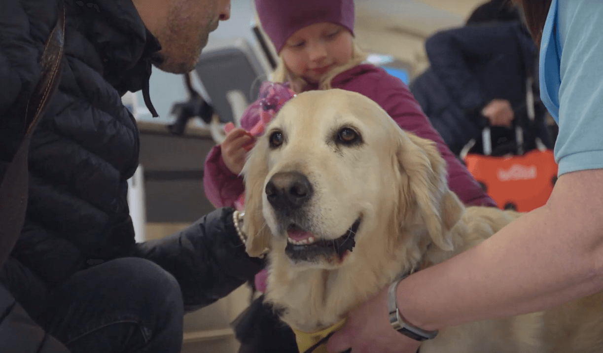 A Scottish airport has hired a permanent team of therapy dogs to help nervous fliers