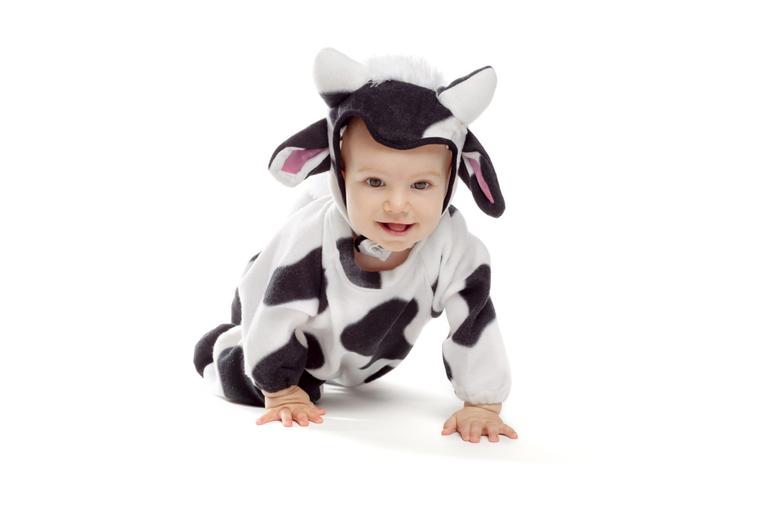 Video of little boy saying ‘moo’ in Welsh and Irish accents is just too adorable