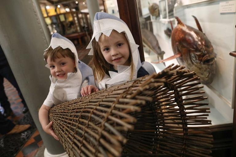 There’s lots of Fishy Fun to be had at the National Museum of Ireland this week