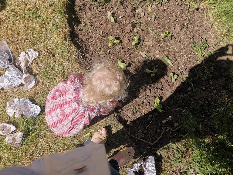 Since lockdown started we’ve been working on growing our own vegetables
