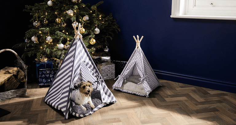Santa paws! There are some seriously adorable pet accessories coming into Aldi next week
