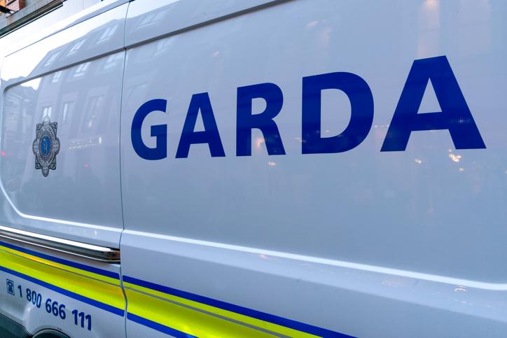 A woman has died following a suspected hit and run in Kildare