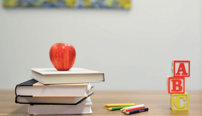 More languages could soon be added to the primary school curriculum in Ireland