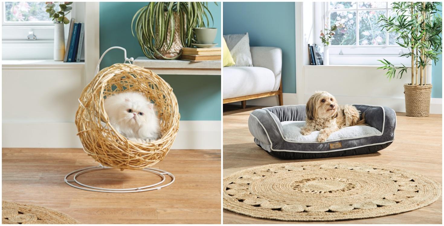 How paw-fect! These eco-friendly pet buys are coming to Aldi next weekend