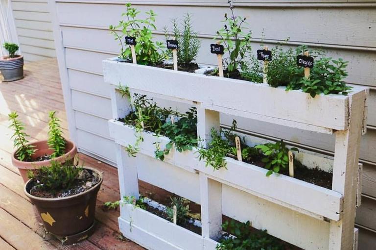 Weekend DIY: Grow your own food with this easy pallet herb garden