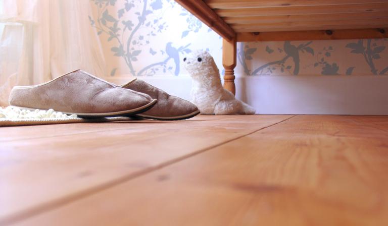 Parents beware: false widow spiders like hiding in socks and slippers left on the floor overnight