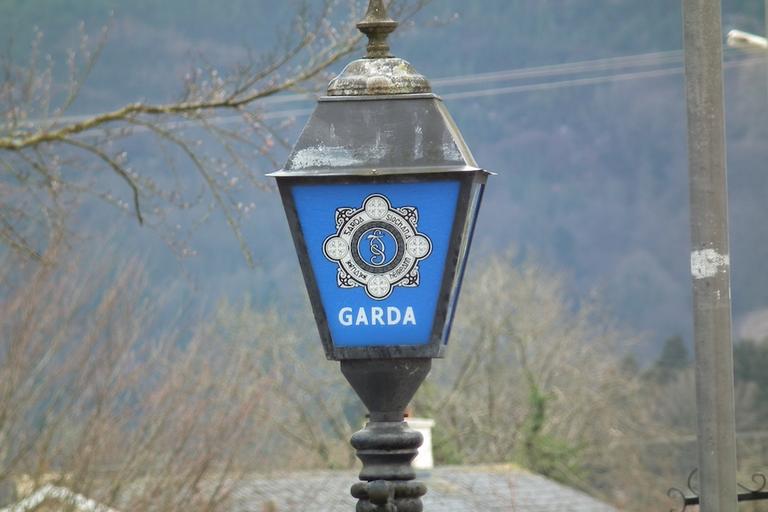 Gardaí investigating attempted abduction of 7-year-old boy