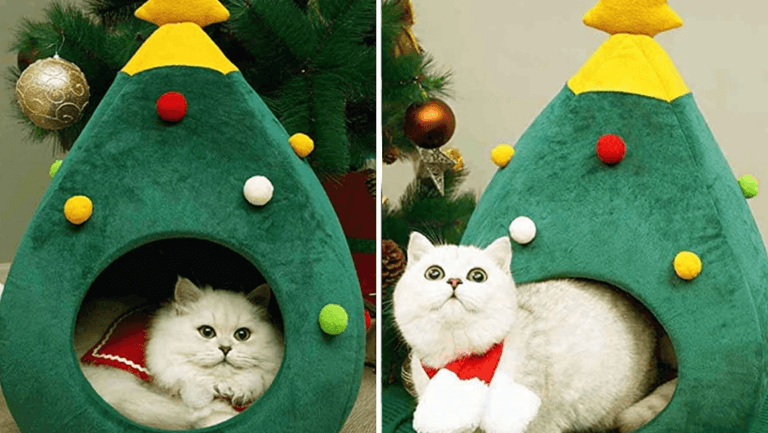 You can now buy a Christmas tree bed for your pet