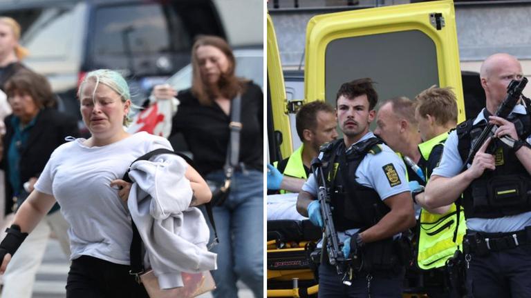 Multiple people killed in Denmark shopping mall shooting