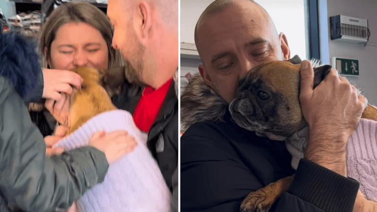 WATCH: DSPCA reunites family with stolen dog after two years