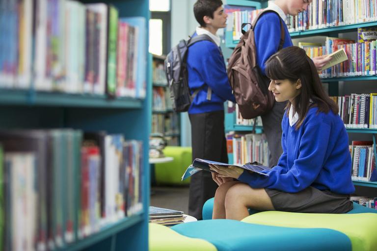 Libraries set to increase security after protesters try to remove LGTBQ+ books for young people