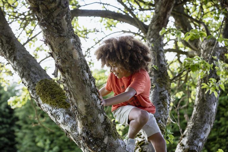 The importance of ‘risky play’ and why expert says ‘parents should back off a bit’