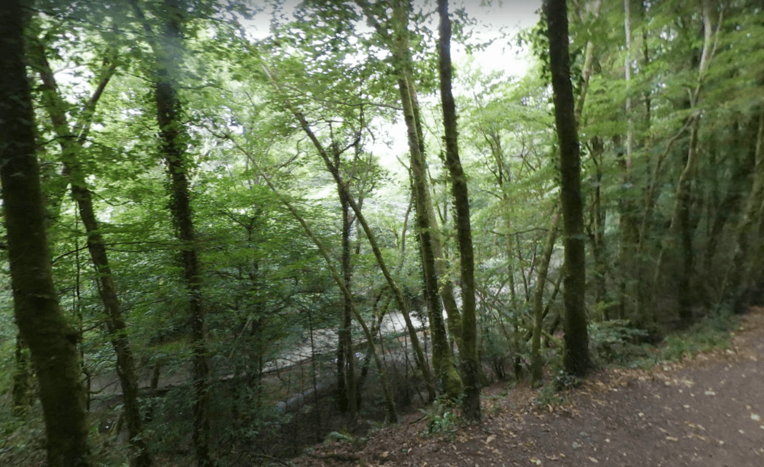 Warning for parents after nine children fall ill swimming in river