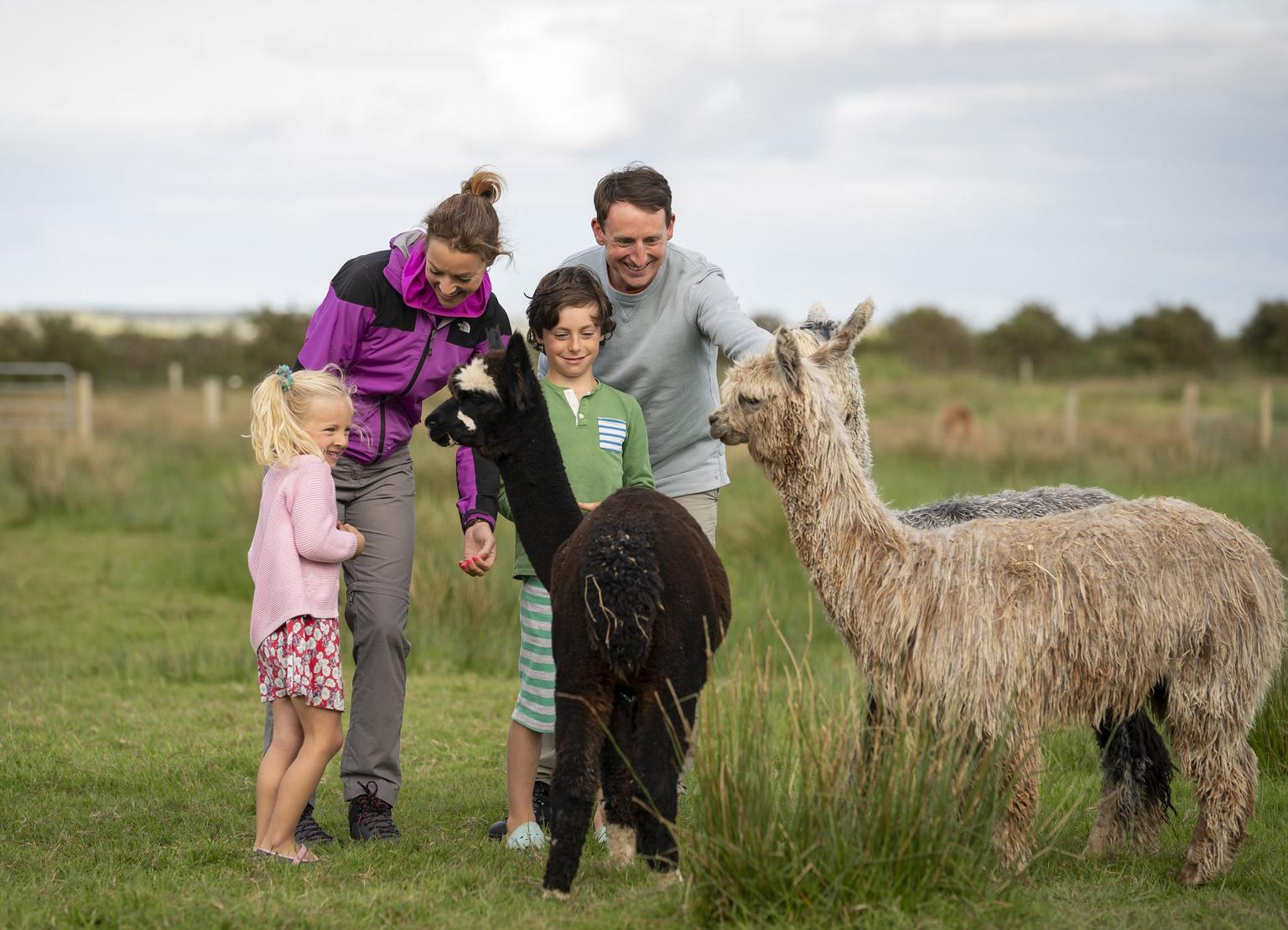 Farmyard friends: Brighten up your break with these family fun attractions