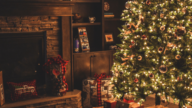 The correct date you should be putting up the Christmas tree