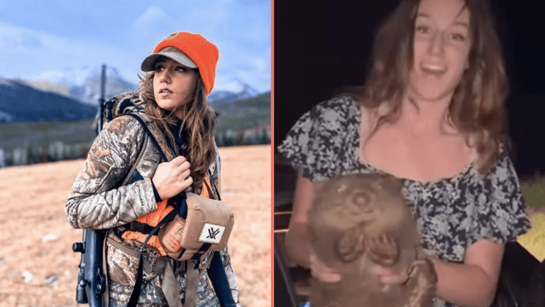 Influencer who snatched wombat from mother says she was just trying to move it from road