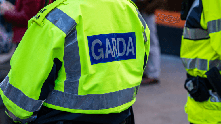 Man and young child found dead in Dublin home