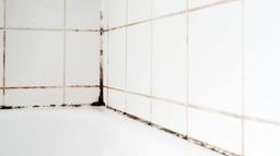 ‘Easy to use’ gadget clears stubborn mould from bathrooms – and it’s just €11