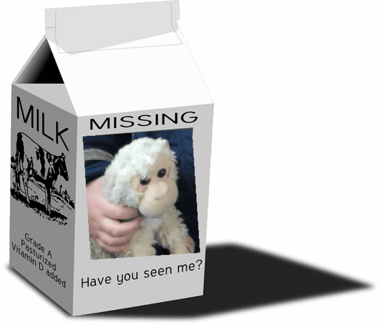 Help find Monkey: One dad’s online appeal for help really touched us Help find Monkey: One dad’s online appeal for help really touched us