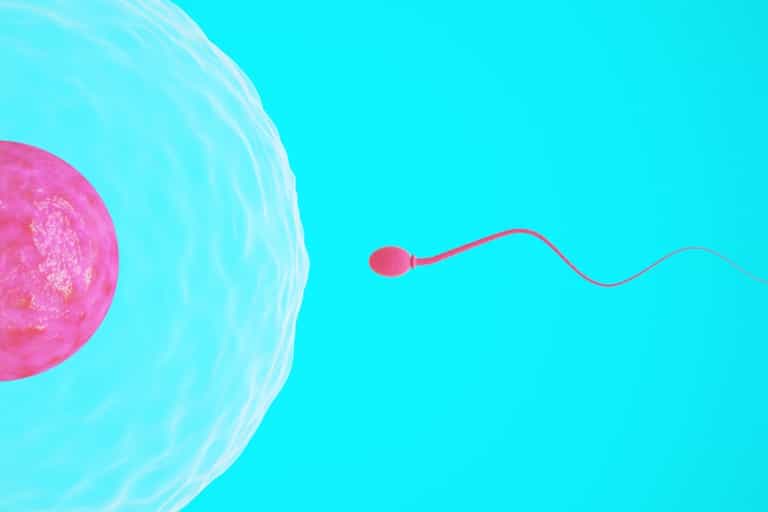 Would you get sperm from Facebook? Would you get sperm from Facebook?