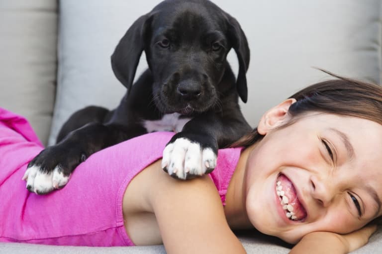 WATCH: 8 pissed off pets exact revenge on the kids who replaced them WATCH: 8 pissed off pets exact revenge on the kids who replaced them