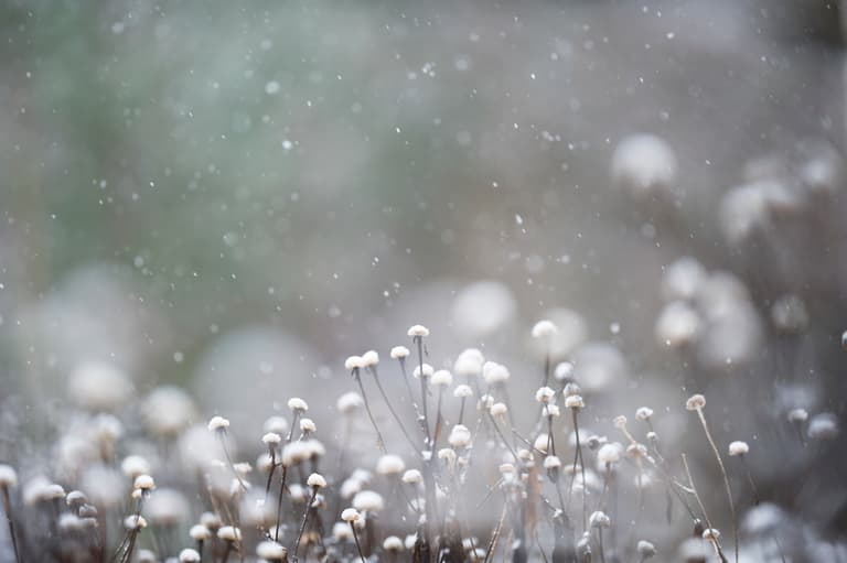 Nationwide weather warning announced as ice and snow expected Nationwide weather warning announced as ice and snow expected