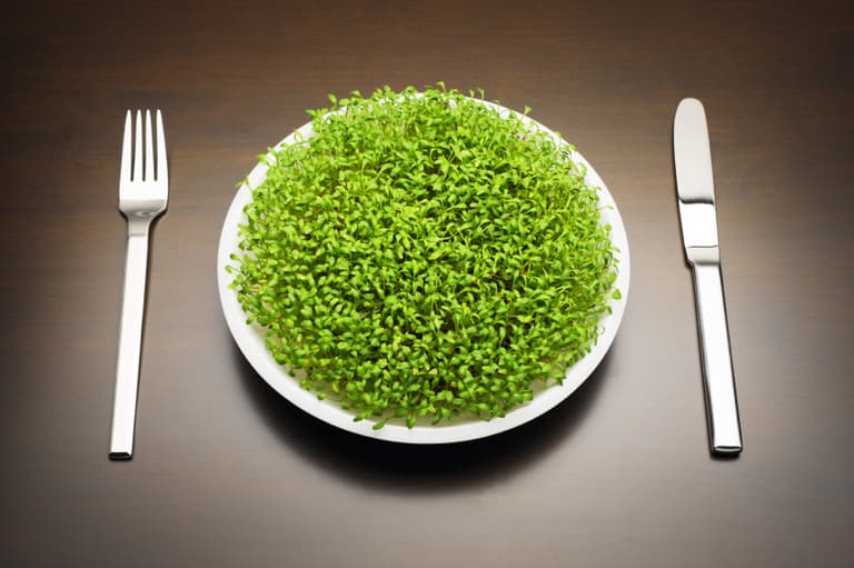 Science says there are only TWO diets that really work Science says there are only TWO diets that really work