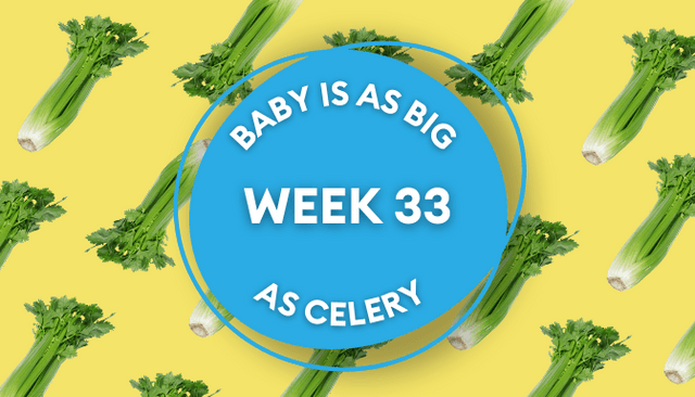 Your baby at 33 weeks pregnant: Week-by-week guide to development Your baby at 33 weeks pregnant: Week-by-week guide to development