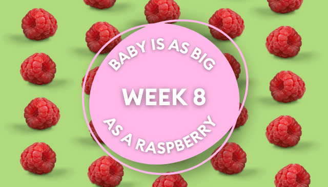 Your baby at 8 weeks: Week-by-week guide to pregnancy and development Your baby at 8 weeks: Week-by-week guide to pregnancy and development