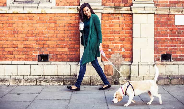 A New Dog-Friendly Café Has Opened in Dublin A New Dog-Friendly Café Has Opened in Dublin