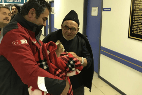 Old man and kitten survive house fire after home is burned to the ground Old man and kitten survive house fire after home is burned to the ground