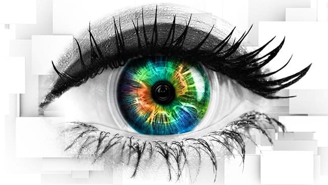 We officially have our first look inside the Celebrity Big Brother house We officially have our first look inside the Celebrity Big Brother house