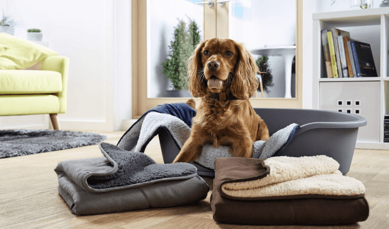 Aldi is doing a massive pet event with some serious deals to spoil your fluffy friend Aldi is doing a massive pet event with some serious deals to spoil your fluffy friend