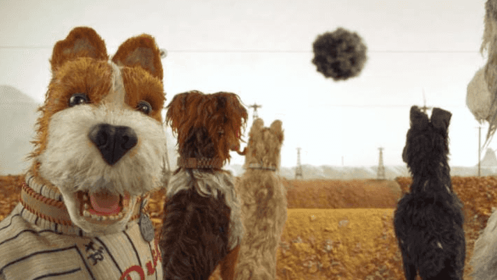 You can bring your dog to the cinema next week and we are too excited You can bring your dog to the cinema next week and we are too excited